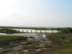 a view of Galveston Bay from the end of the park's bayside road