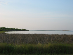 a view of Galveston Bay from the park