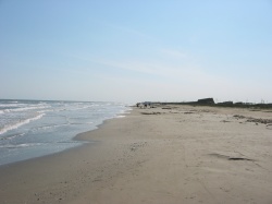Galveston Island State Park looking east along the Gulf beachfront