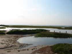 exposed sand bars in West Galveston Bay