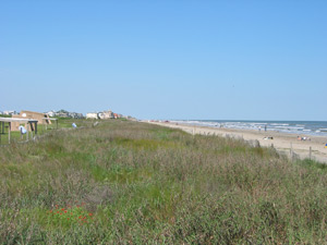 the front of the public picnic area, beach dune, and beach 
